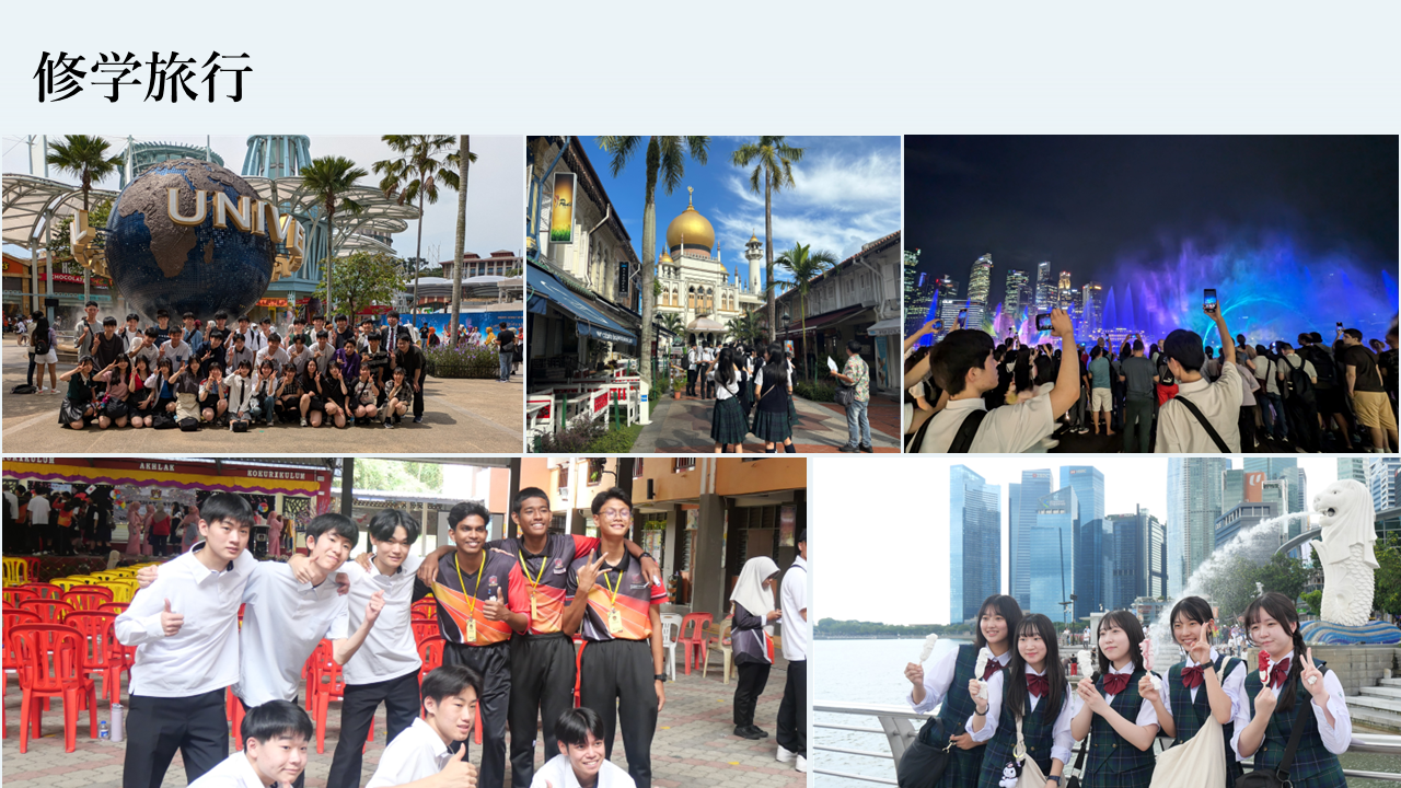 new-edu 15