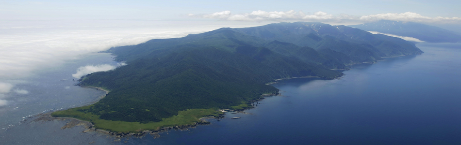 北海道プロジェクト