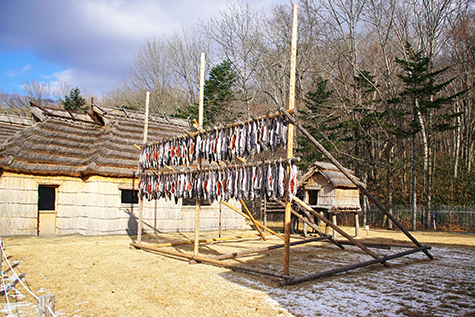 北海道プロジェクト