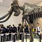 【HOKKAIDOプロジェクト】中学1年生　北海道開拓の村・北海道博物館研修