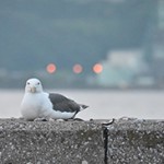 第1回 札幌生コンクリート協同組合 フォトコンテスト