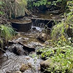 本校生徒が「第2回札幌生コンクリート協同組合フォトコンテスト」で入賞しました